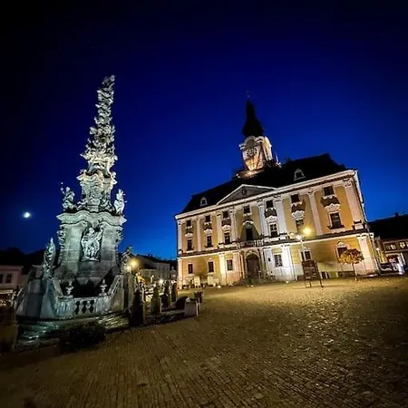 Spacious Timeless Central * Polička